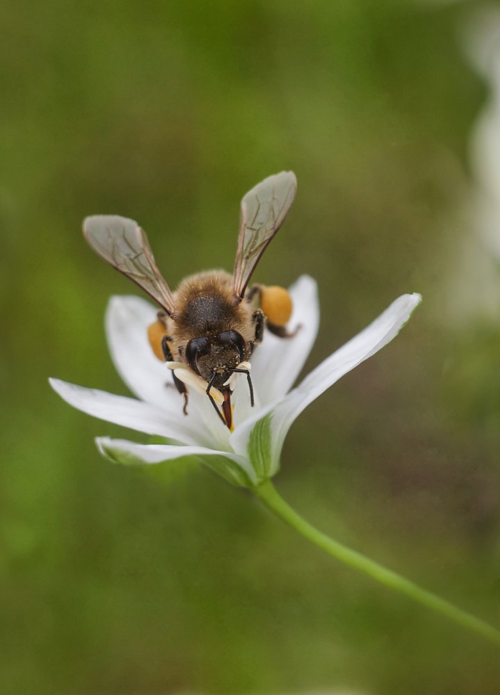 Photograph by Olha Nikitina