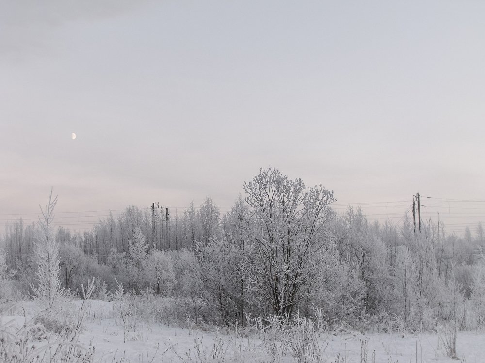 Photograph by Виктория Шлёпина