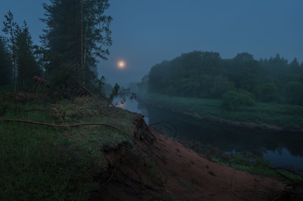 Photograph by Роман Фабричный