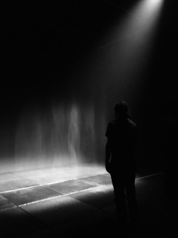 Contemplating "Beauty"