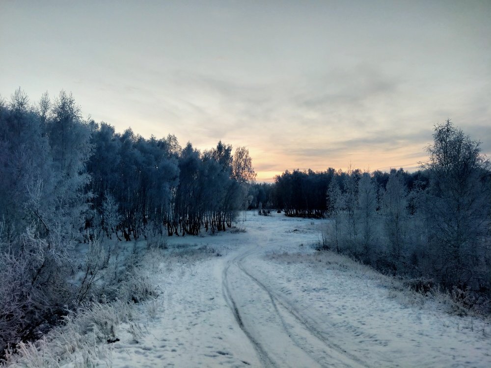 Photo #5380321