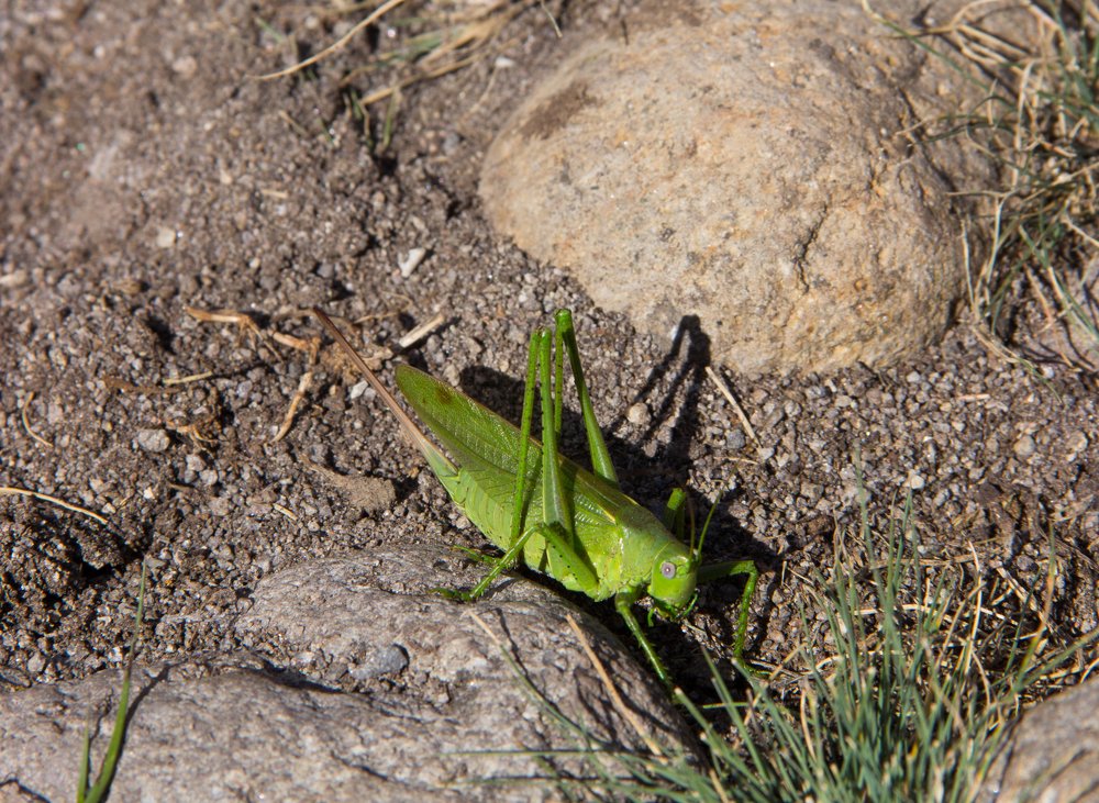 Photograph by Елена Демочкина