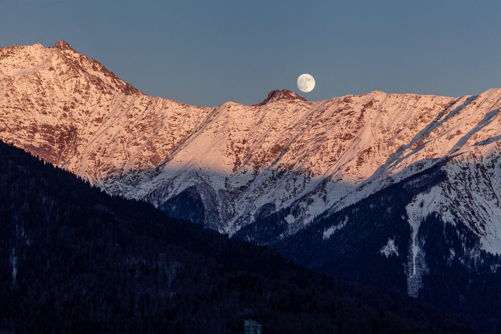 Фотография автора Анатолий Гарин