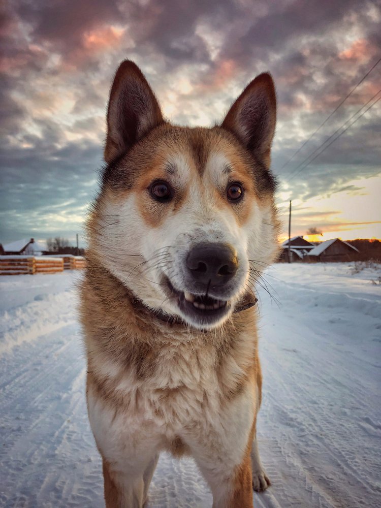 Photograph by Валентина Старикова