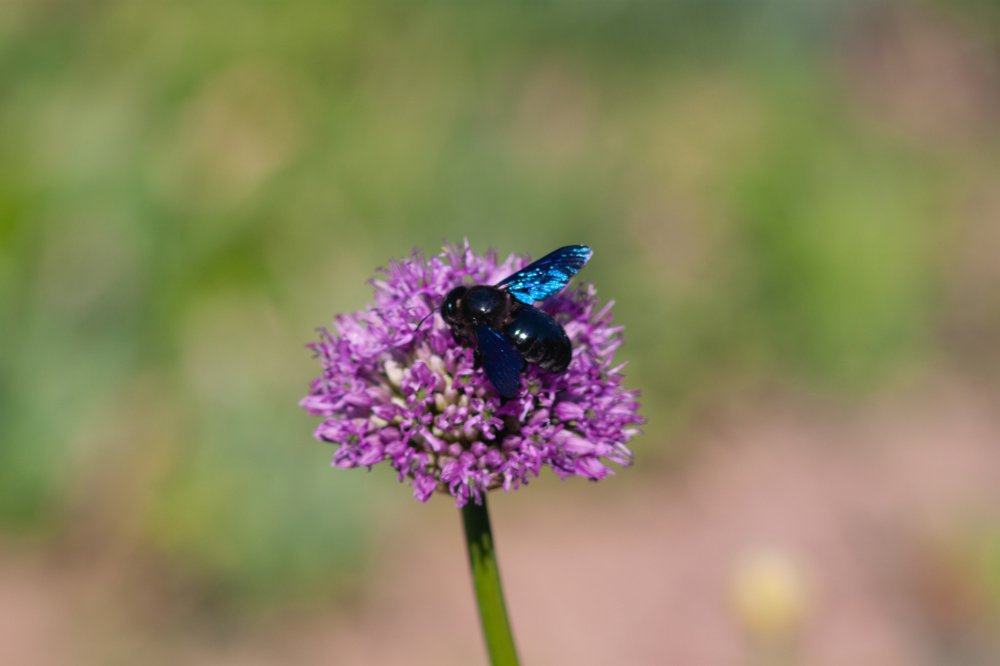 Photograph by Елена Демочкина