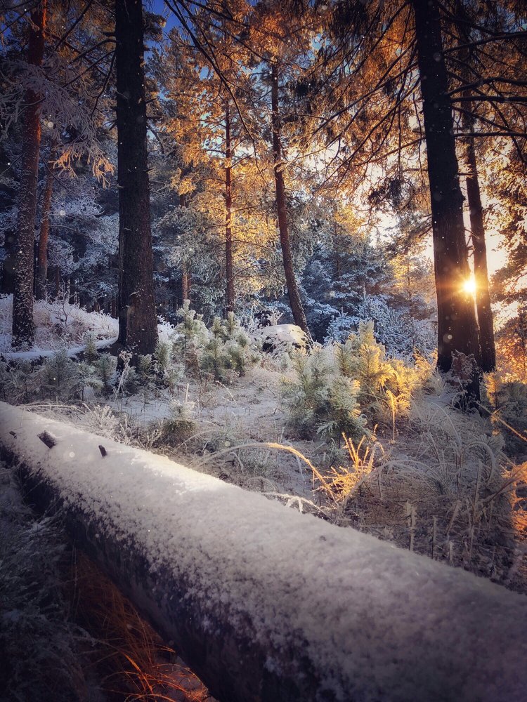 Photograph by Валентина Старикова