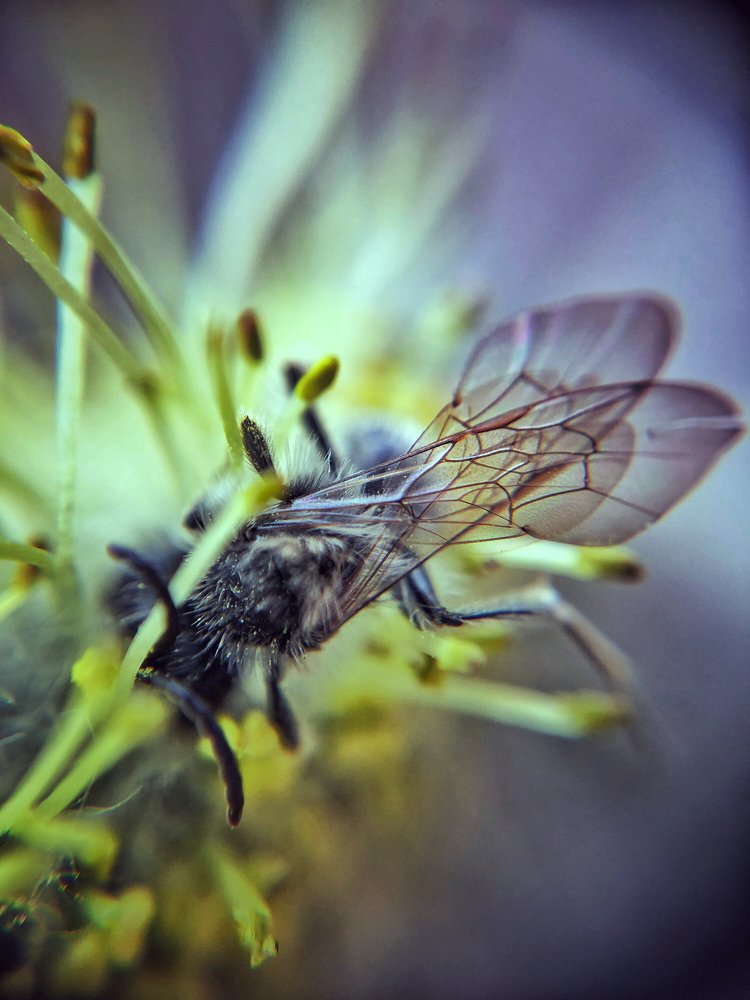 Photograph by Валентина Старикова