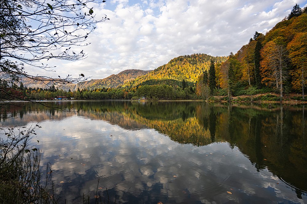 Фотография автора Fikriye Er