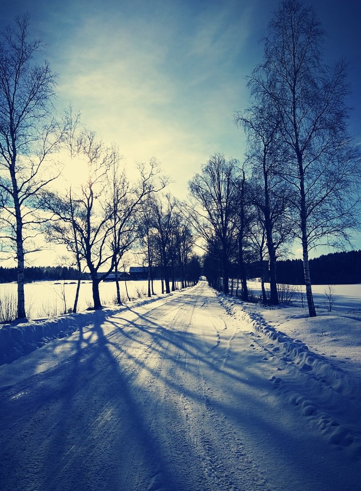 Photograph by Olga Bakke