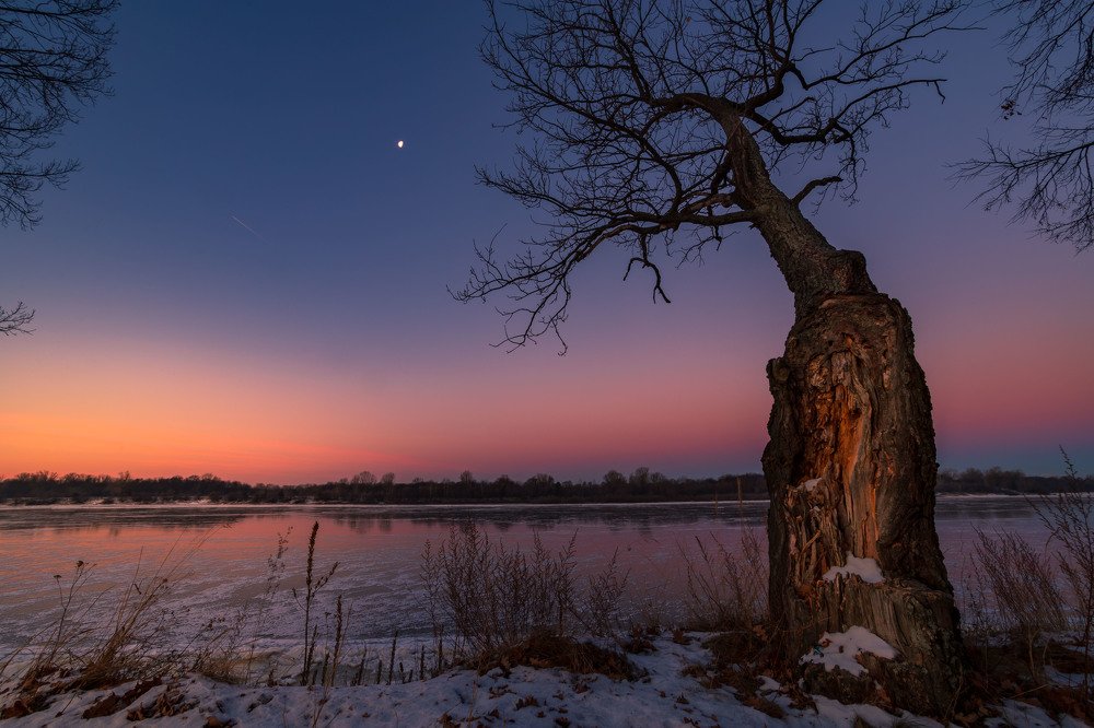 Photograph by Сергей Кочетов