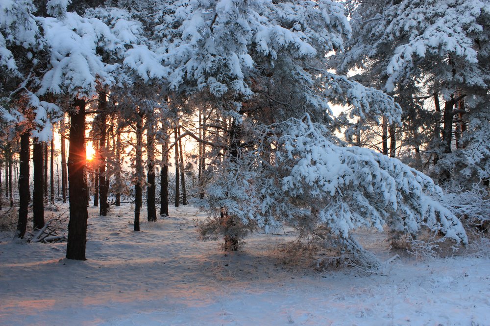 Photograph by Михаил Пахомов