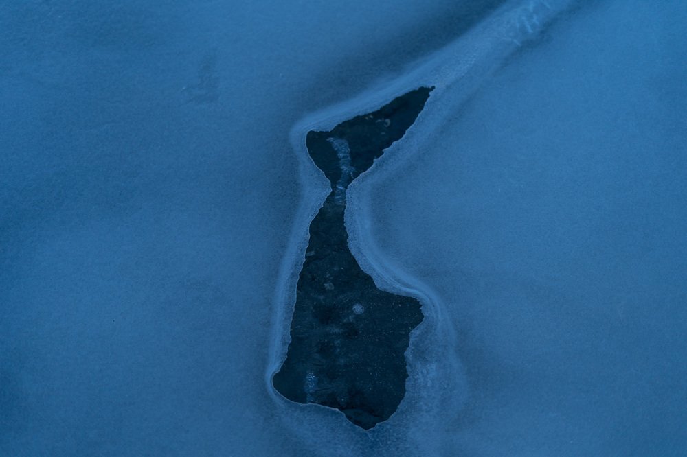 Фотография автора Ольга Осипова