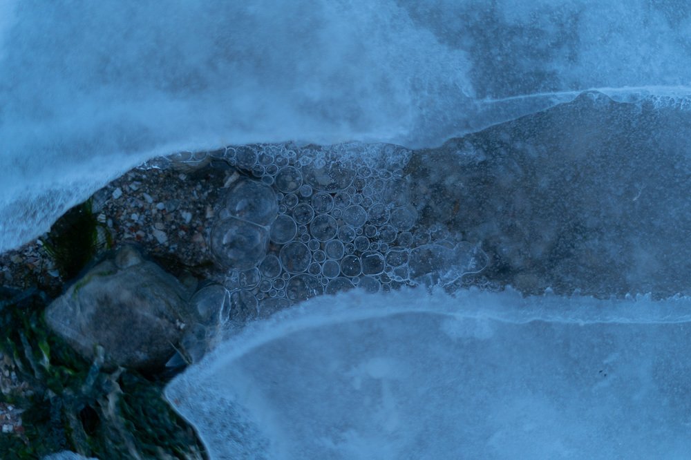 Фотография автора Ольга Осипова