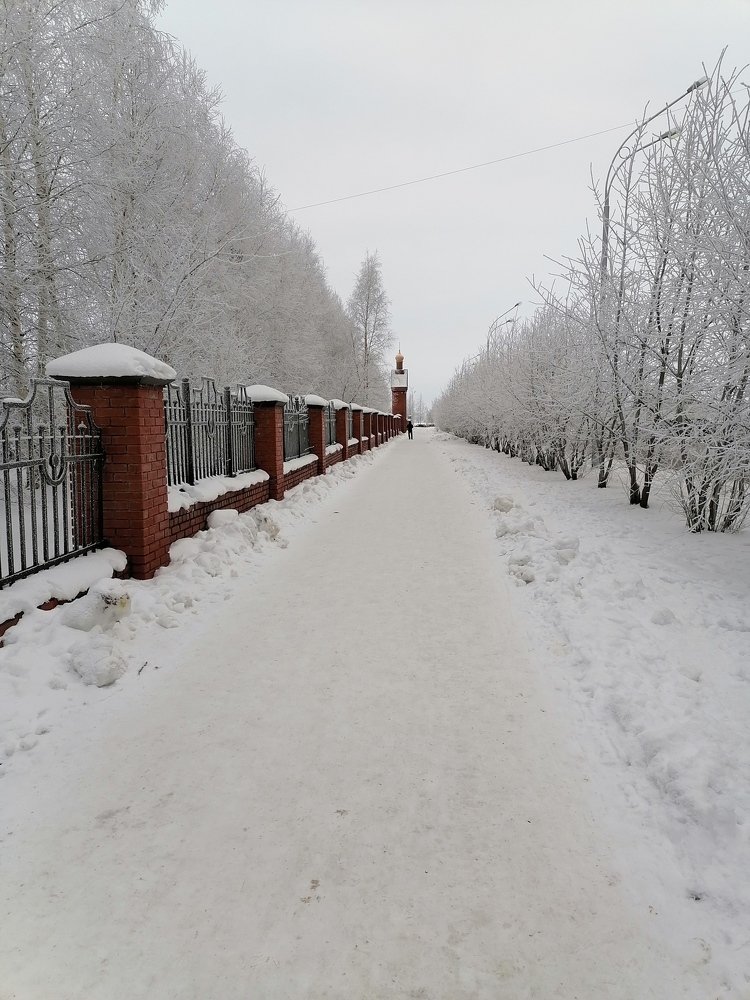 Photograph by Алёна Долгова
