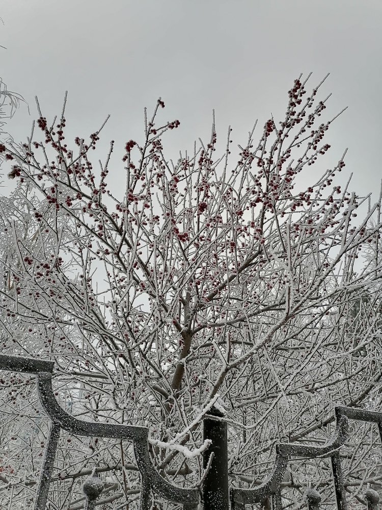 Photograph by Алёна Долгова