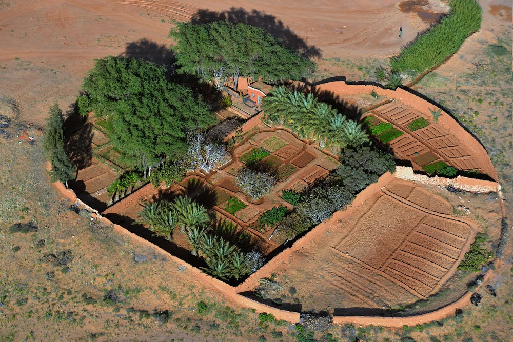 Photograph by Михаил Денисов