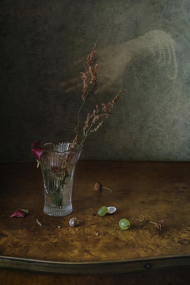 Фотография автора Анна Петина