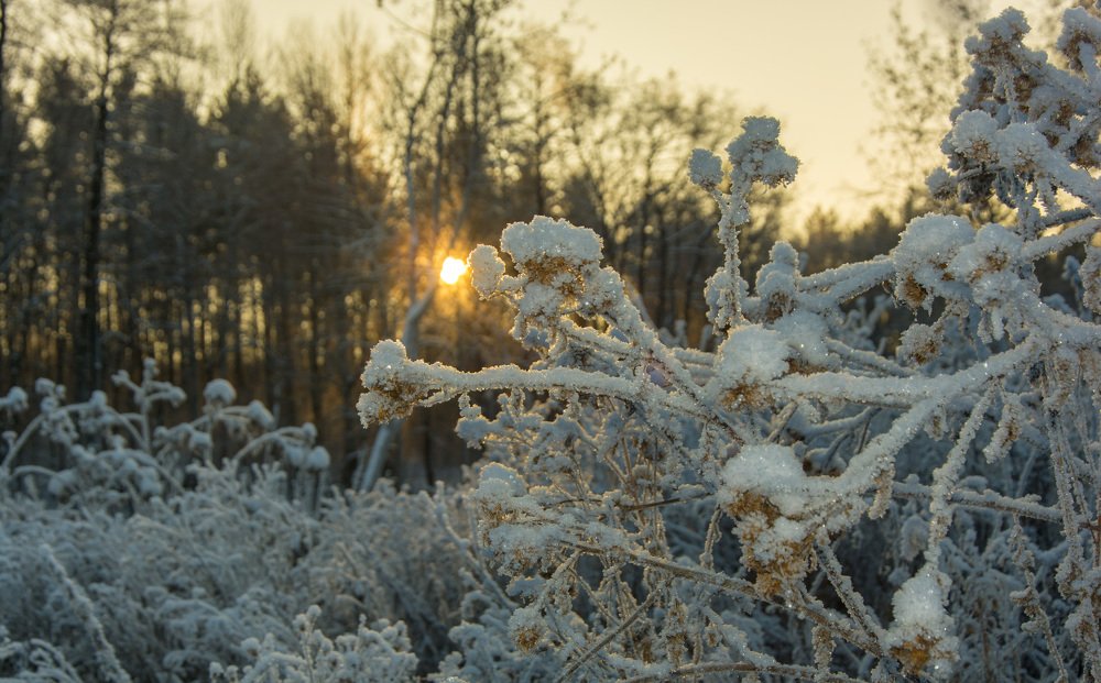 Photograph by Александр Халимов