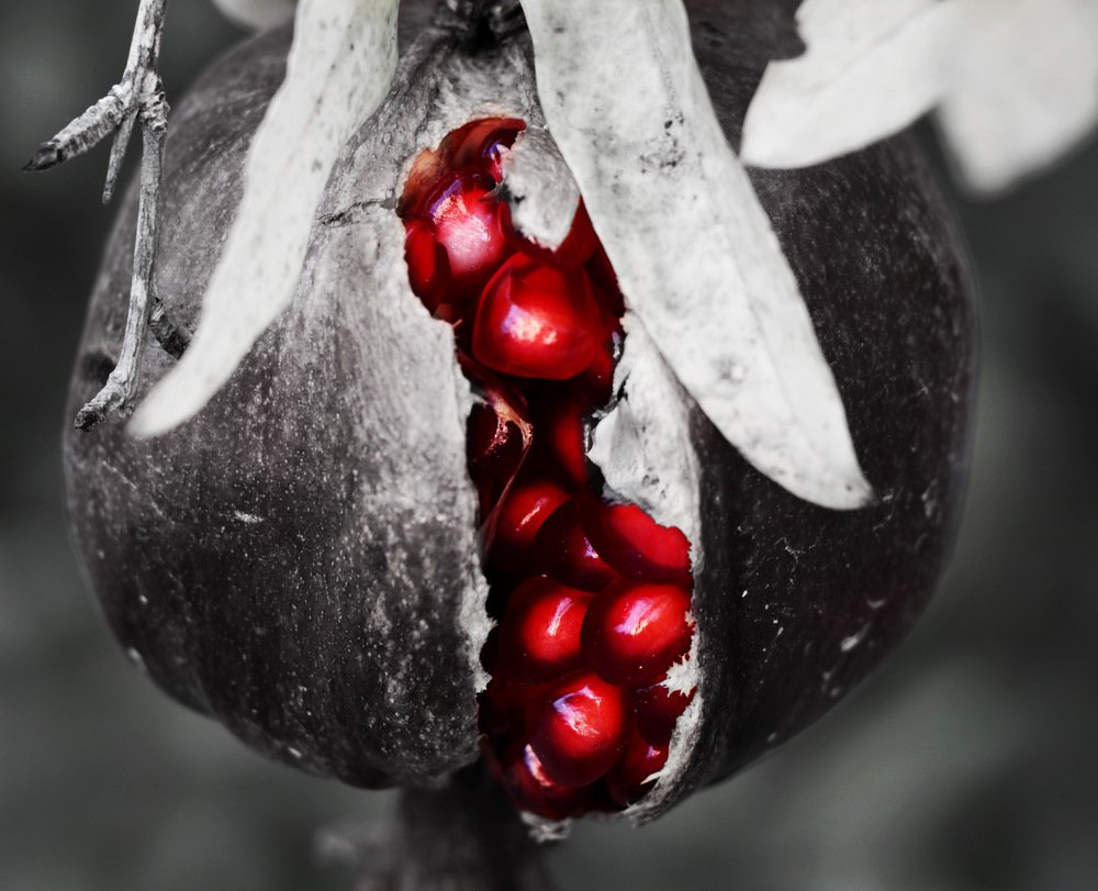 Гранаты Апшерона