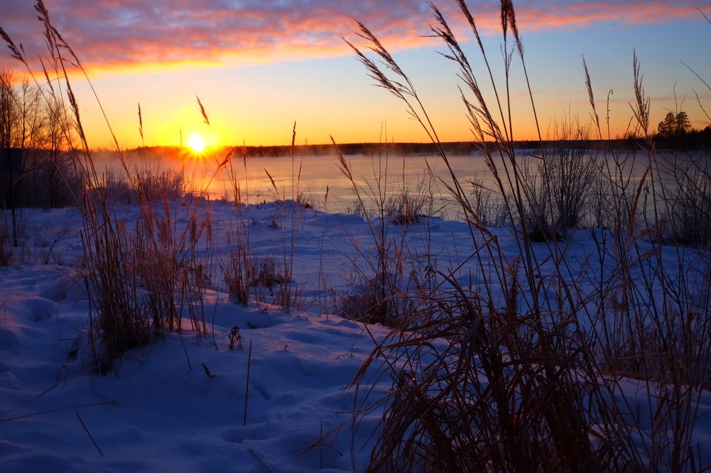 Photograph by Ирина Степанова