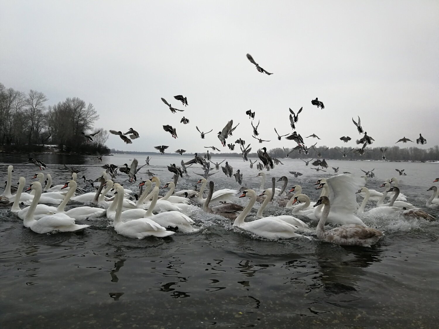 Photo #5380683