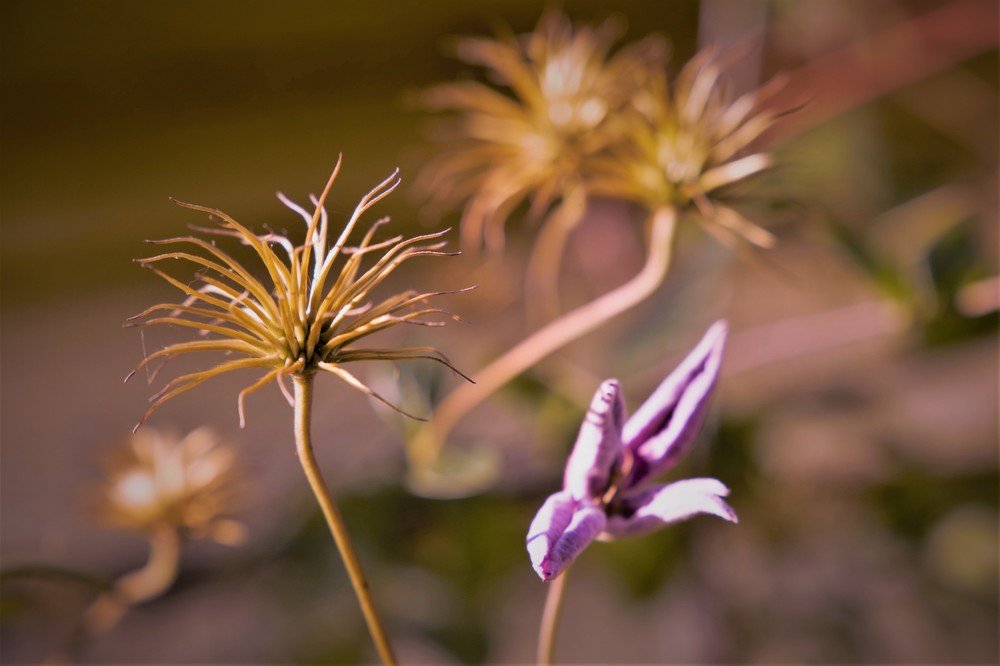 Photograph by Alvydas Baltakis