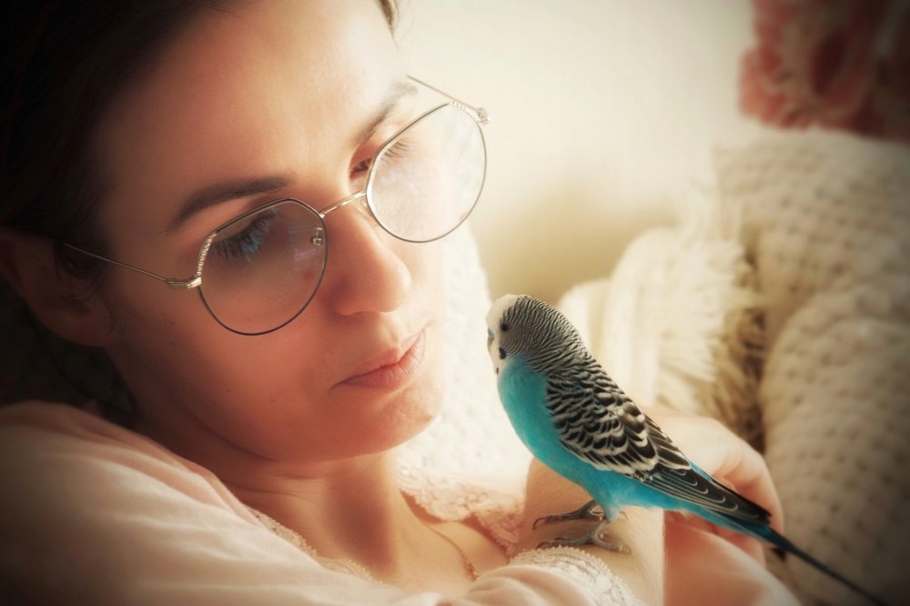 Photograph by Алексей Кроль