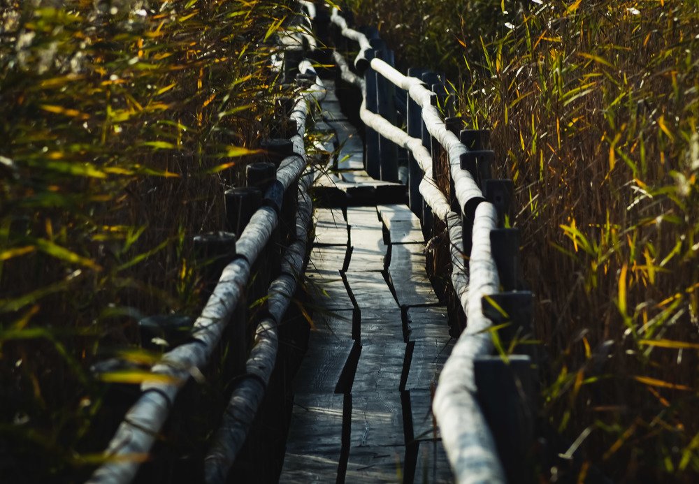 Photograph by Кристина Вингре