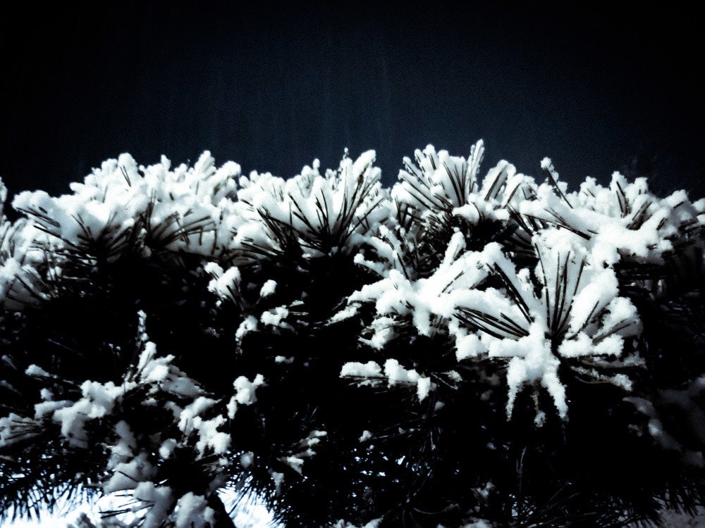 Photograph by Кристина Вингре