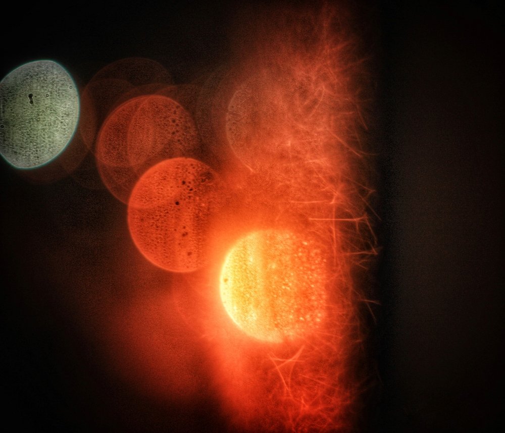 Photograph by Алексей Кроль