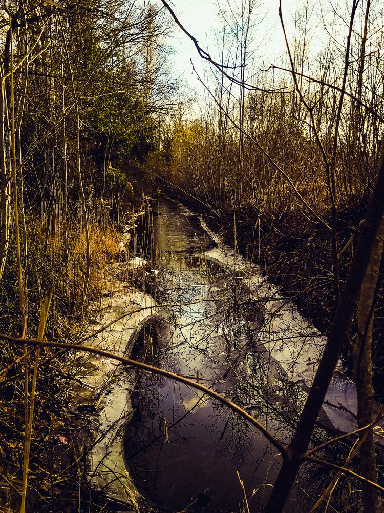 Photograph by Кристина Вингре