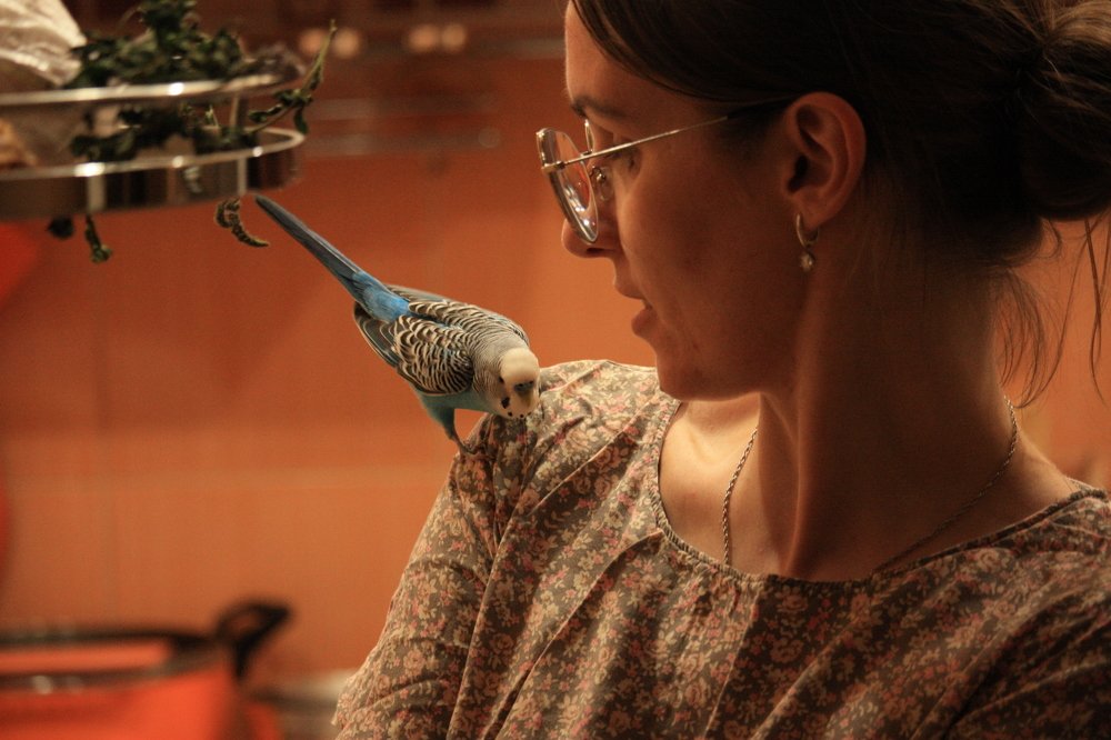 Photograph by Алексей Кроль