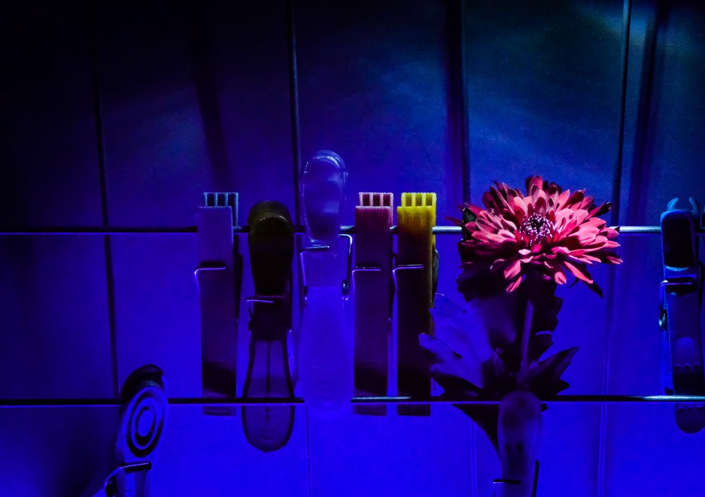 Photograph by Кристина Вингре