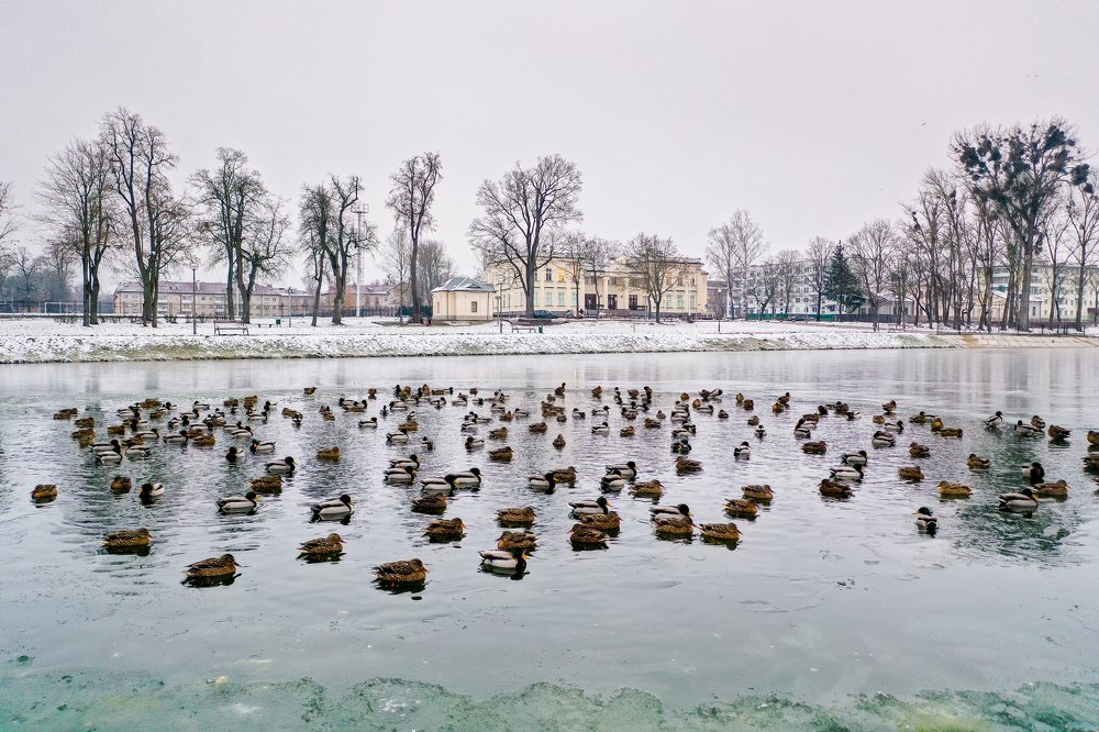 Photograph by Сергей Морозов