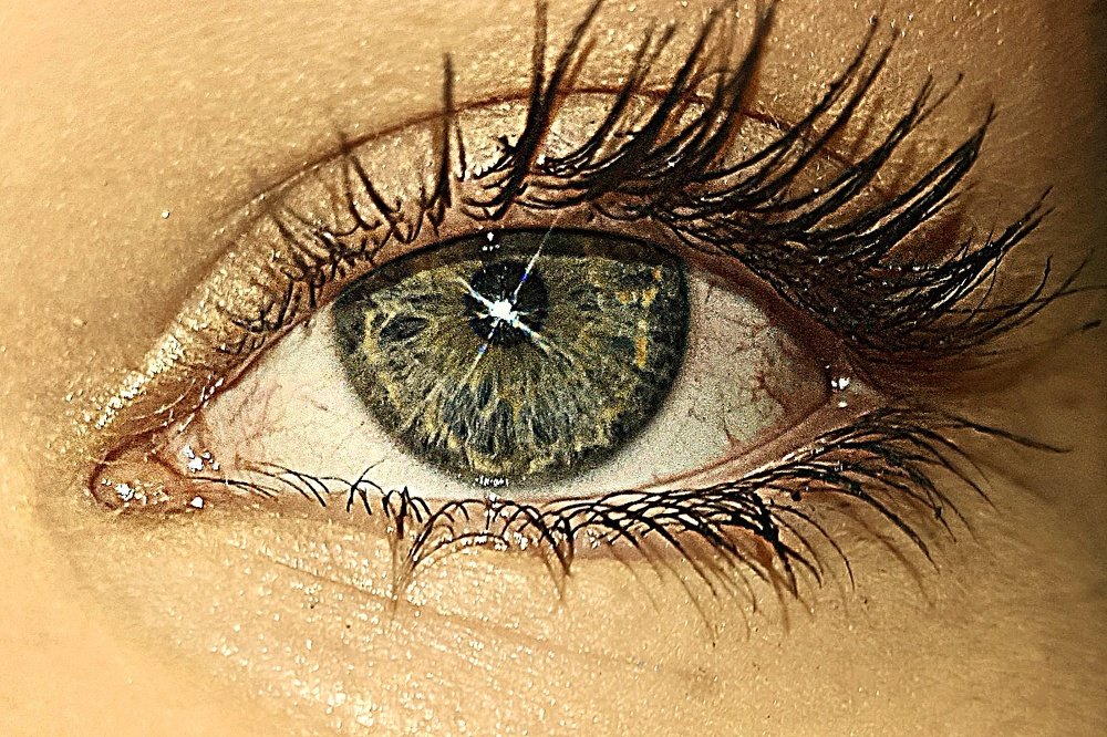 Photograph by Mojca Rebol