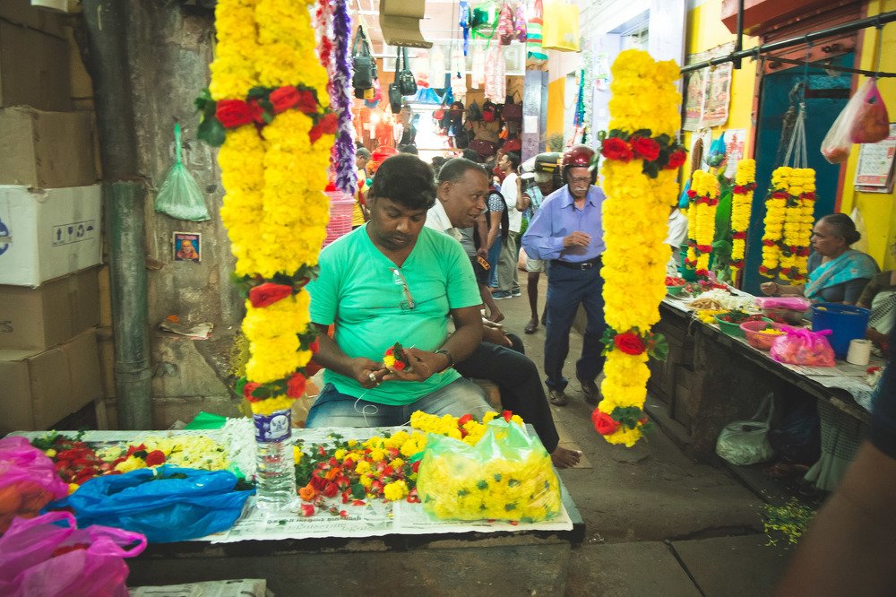 Фотография автора Анна Петина