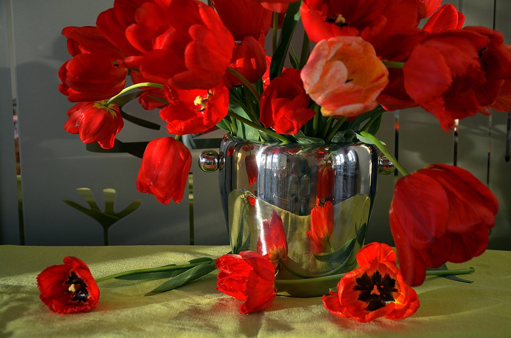 Photograph by Ирина Литичевская