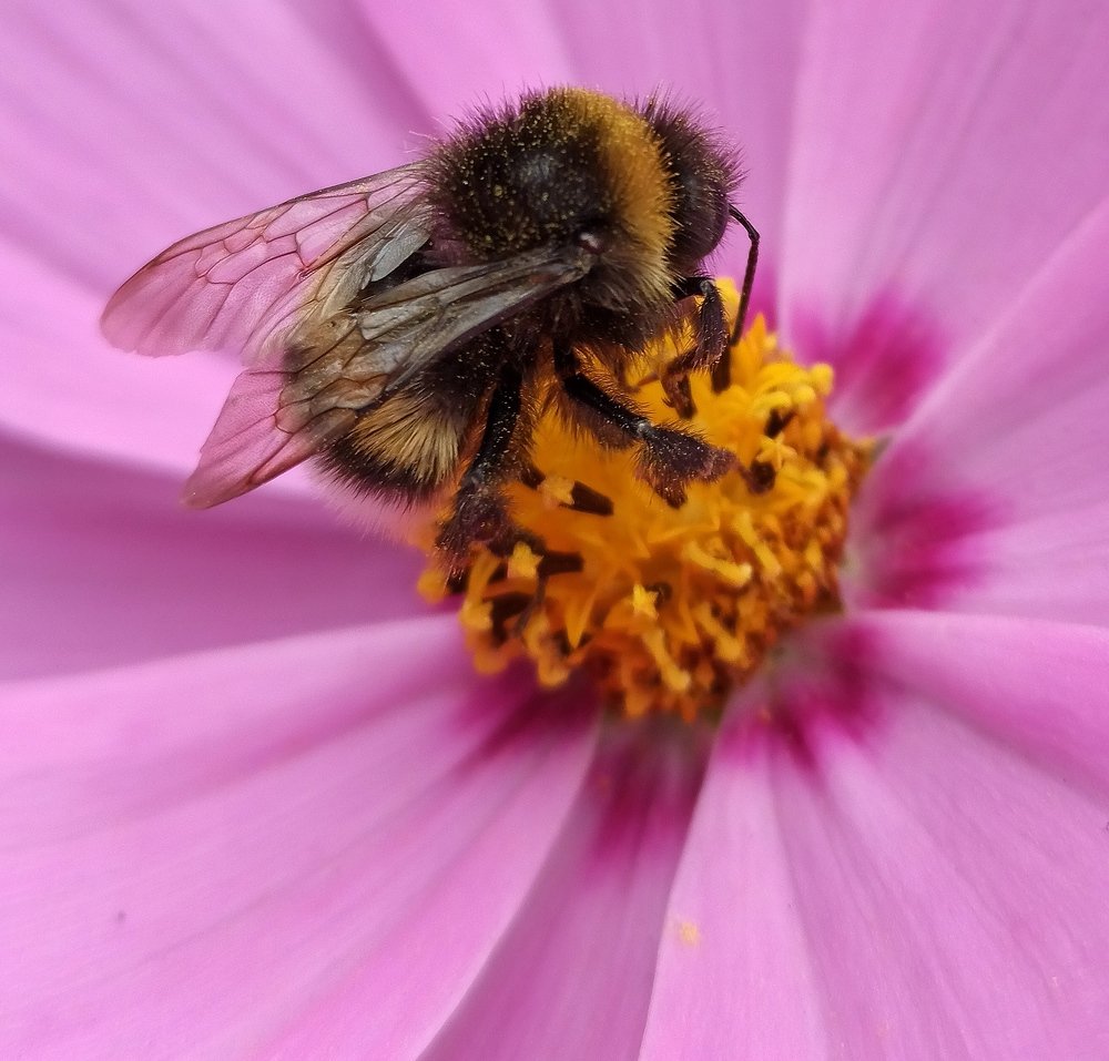 Photograph by Борис Каширин