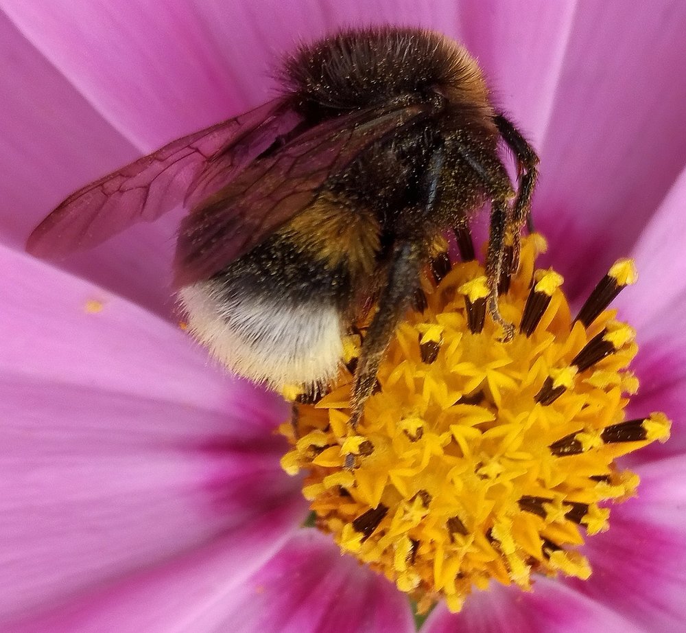 Photograph by Борис Каширин