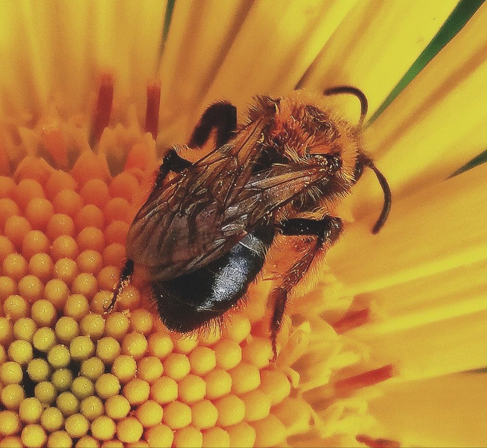 Photograph by Борис Каширин