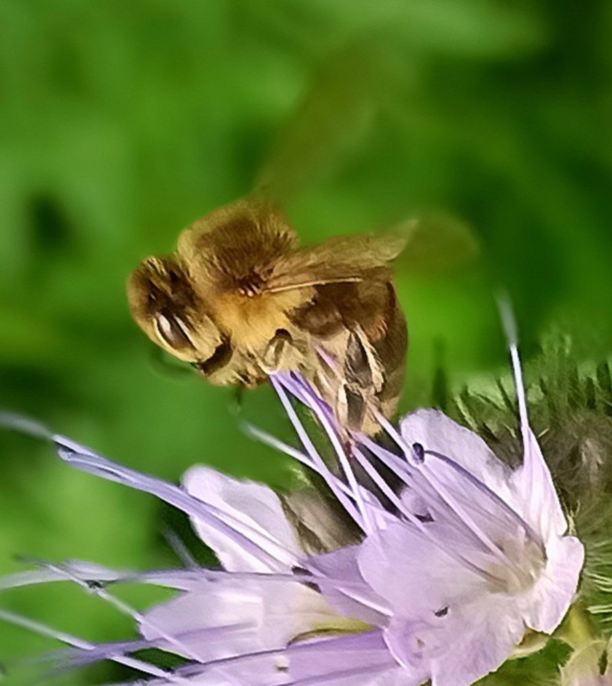 Photograph by Борис Каширин