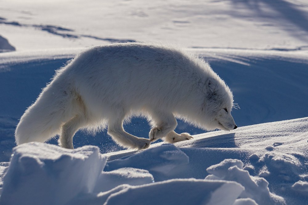 Photograph by Y.u.z.a.k