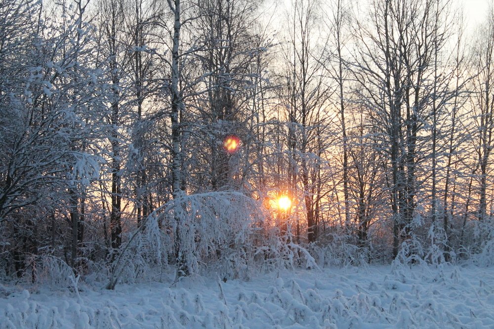 Photograph by Александр Быкадоров