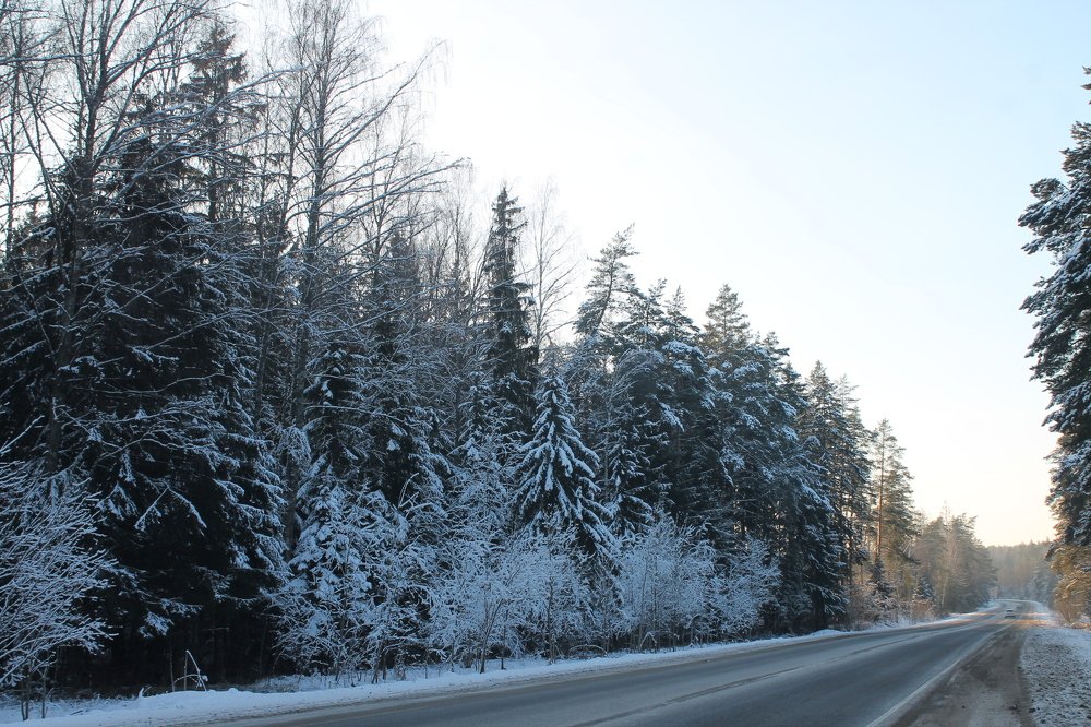 Photograph by Александр Быкадоров