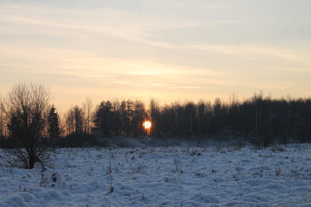 Photograph by Александр Быкадоров