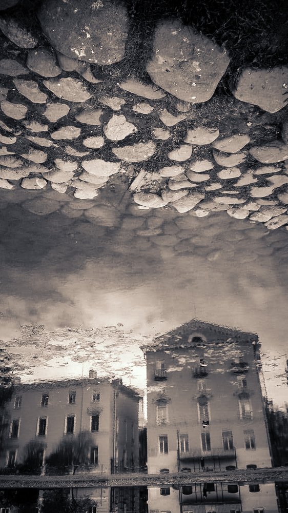 Photograph by Сафронова Любовь