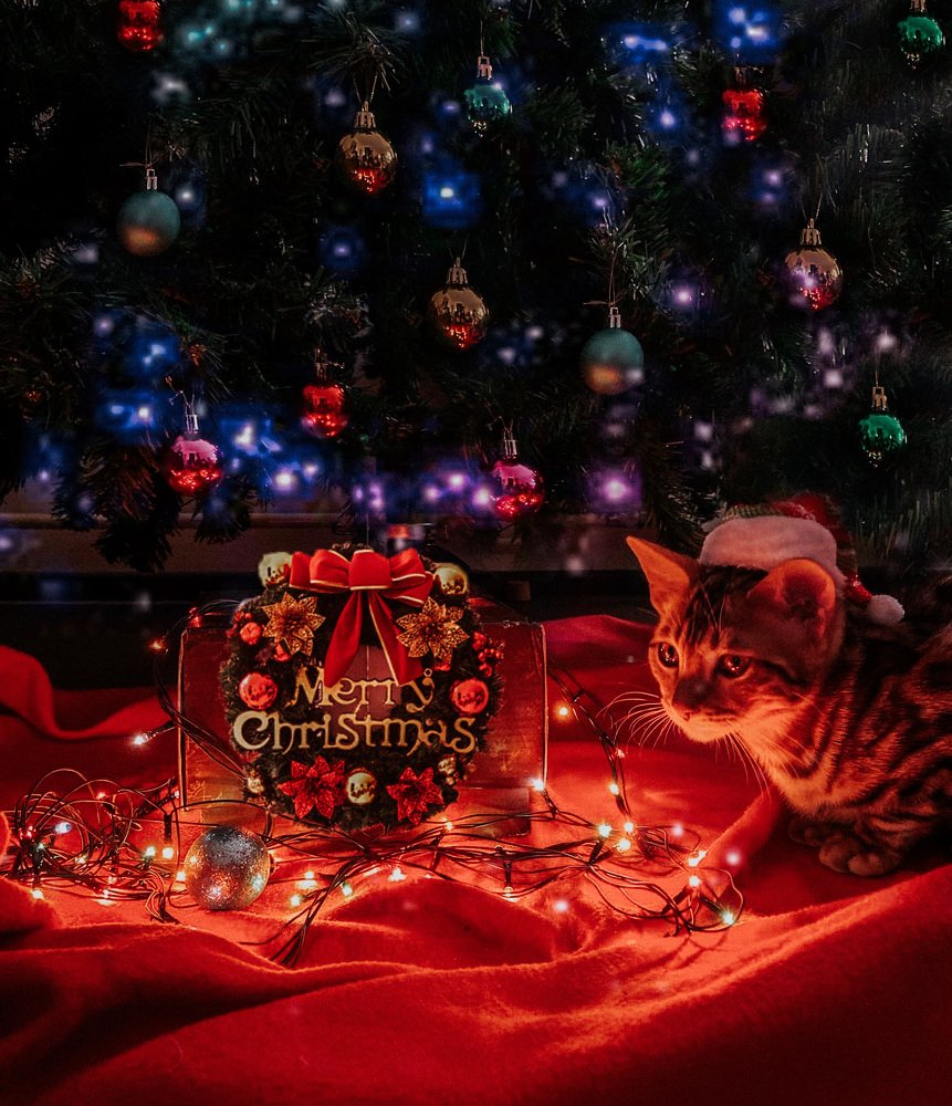 Photograph by Алина Вардиева