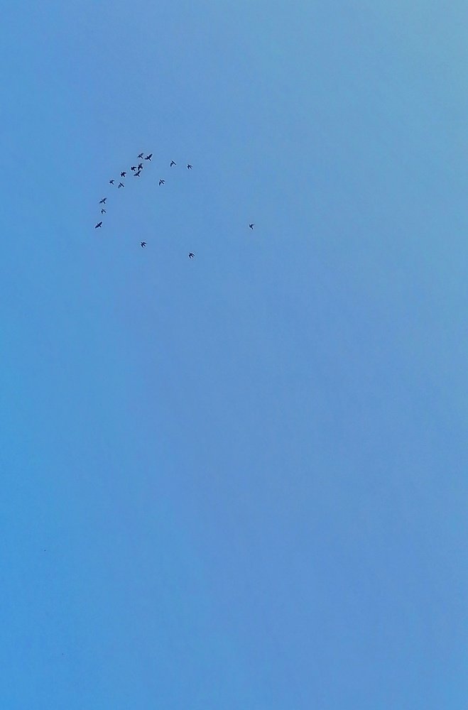 Photograph by Muhammad Ali Hameedi