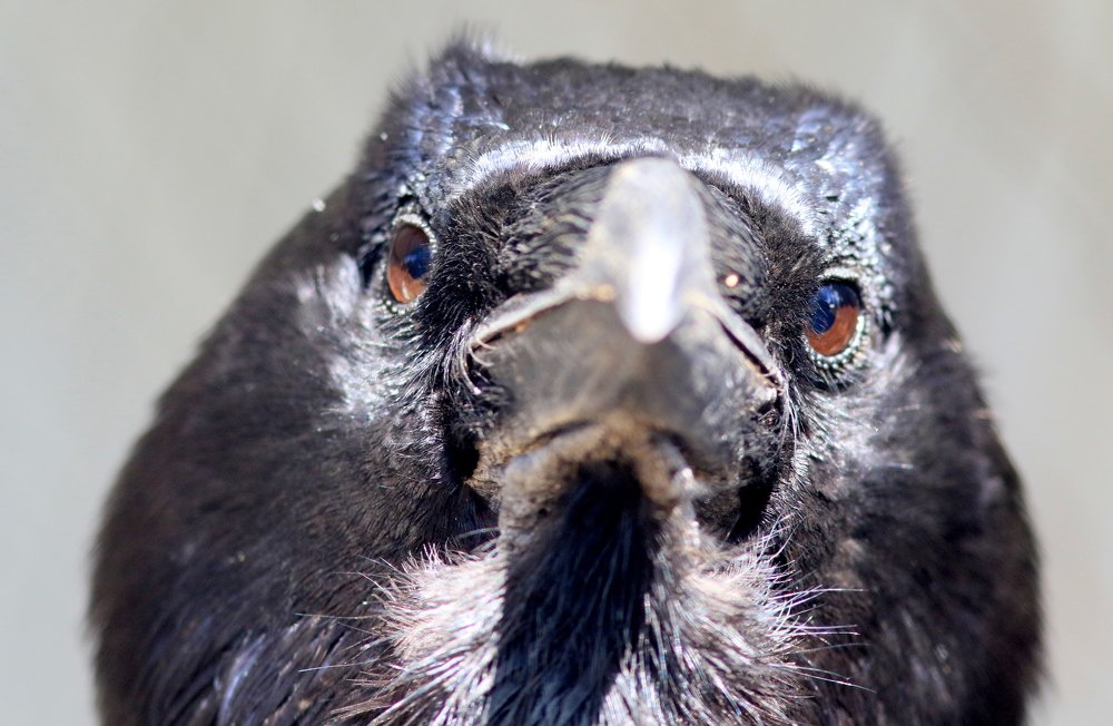 Photograph by SEITUMER CURLU