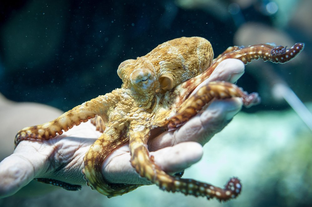 Photograph by Юрий Журавлев